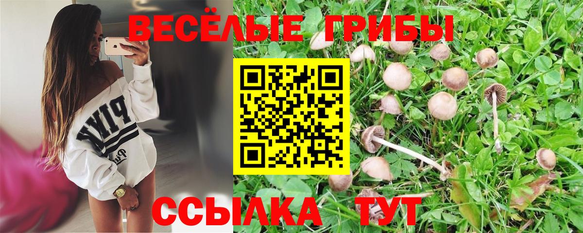 Псилоцибиновые грибы прущие грибы  Галлюциногенные грибы MAGIC MUSHROOMS  Вход с VPN  Гатчина 
