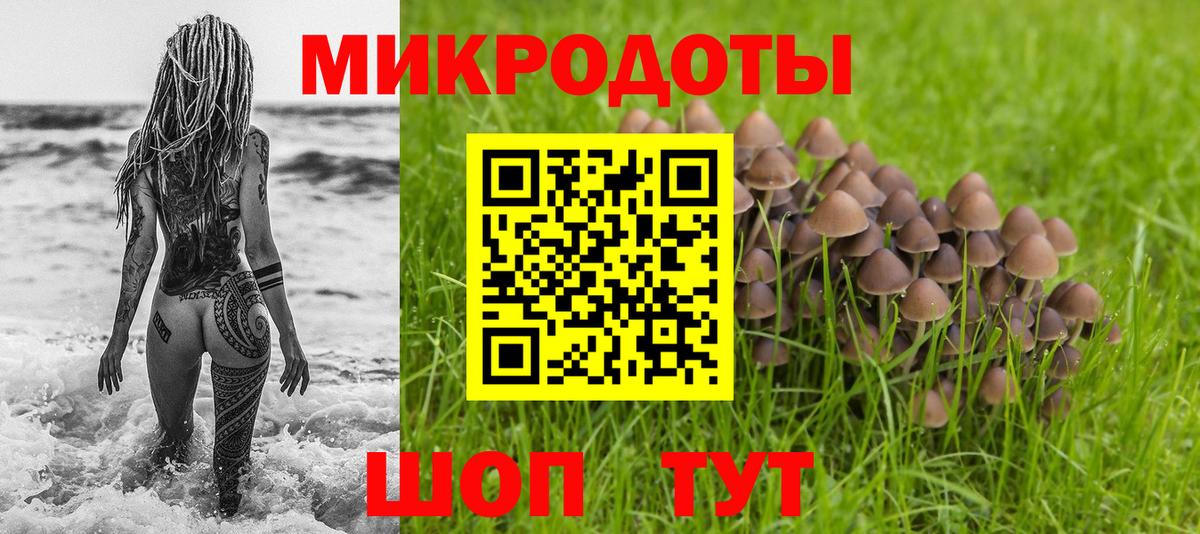 Псилоцибиновые грибы GOLDEN TEACHER Гатчина